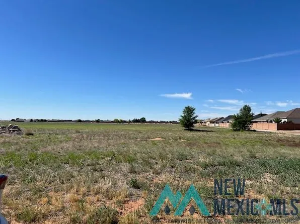 3201 E Sterling Ave, Clovis, NM 88101