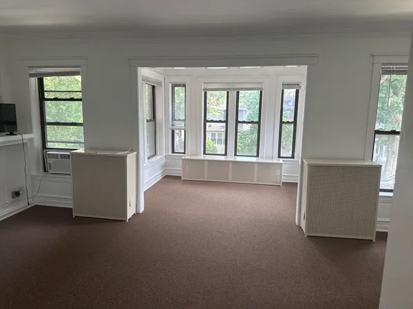 523 S Cuyler Ave #2, Oak Park, IL 60304