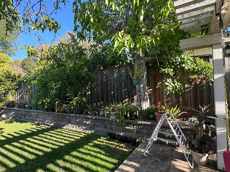 Backyard with multiple fruit trees