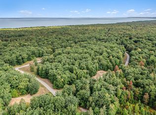 LOT 5 Pine Ave, Mears, MI 49436