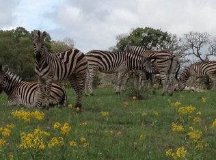 280 Eland Ln, Larue, TX 75770