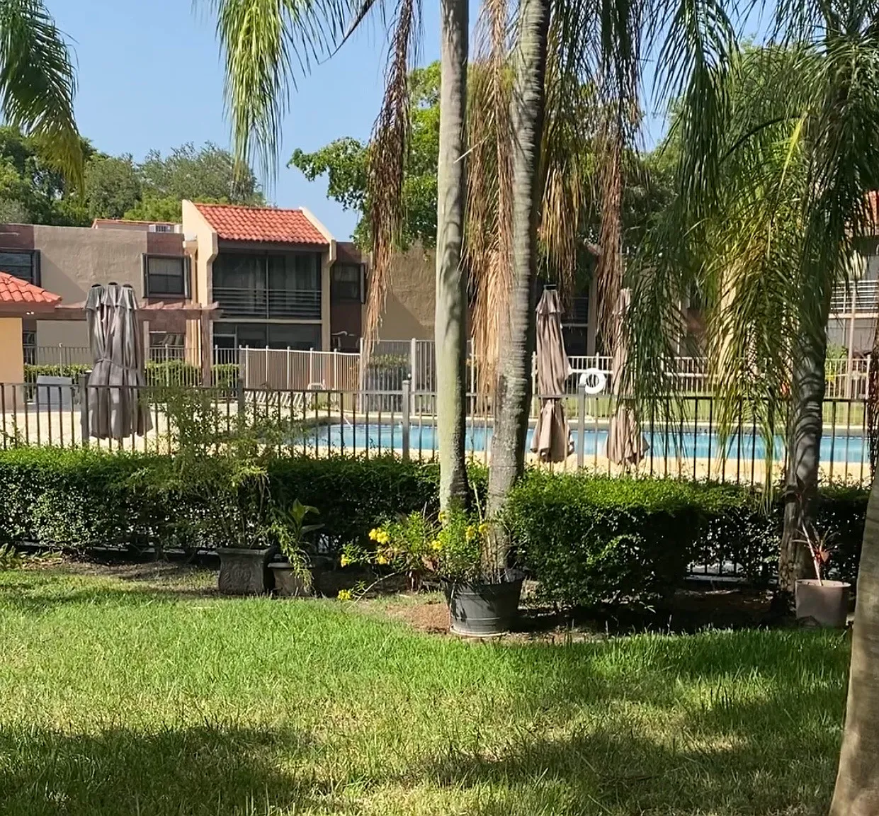 1 bed, 981 sqft, $1,900 — Photo 2