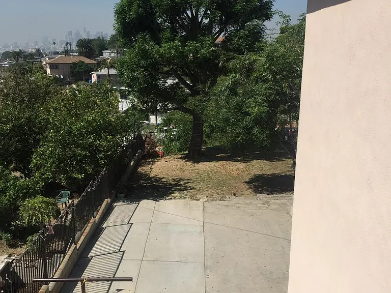 Large shared yard