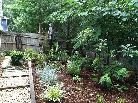 Private back yard Oasis