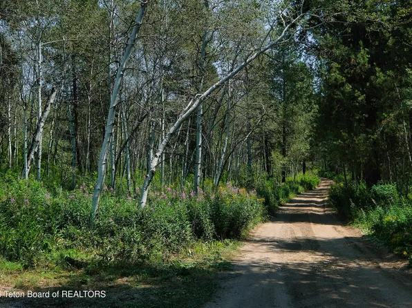 12380 Woodland Hills Rd, Tetonia, ID 83452