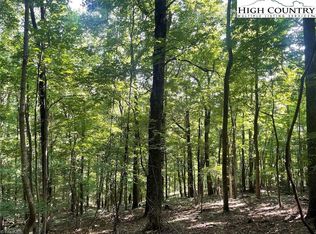 10 Fox Grape Way, Laurel Springs, NC 28644