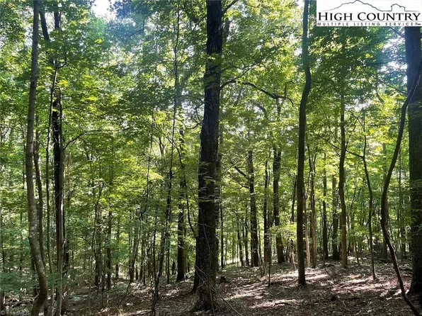 10 Fox Grape Way, Laurel Springs, NC 28644