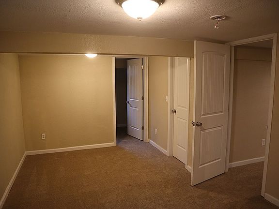 Basement Master Bedroom