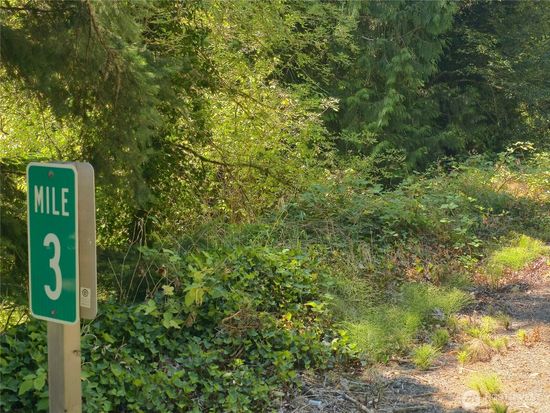 38025 Orville Road E, Eatonville, WA 98328