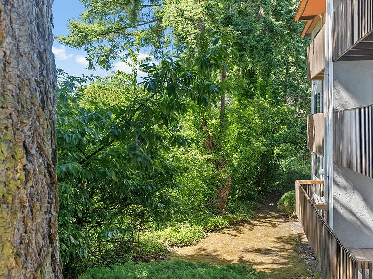 Your own private woodland escape_steps from your apartment.