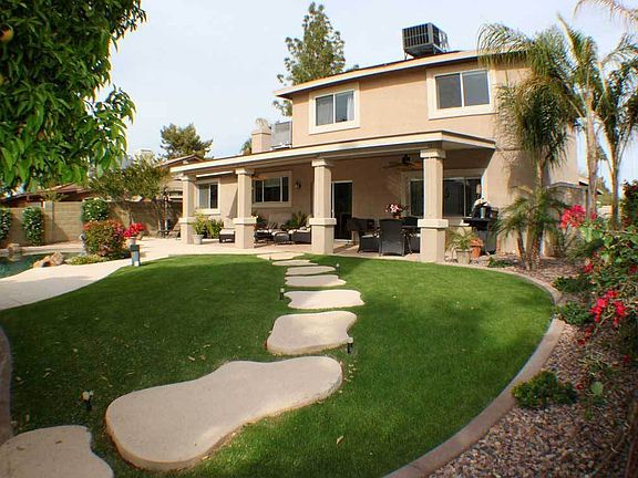 Back-yard