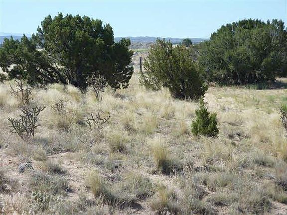 2nd image of TRACT C Cottonwood #1-A