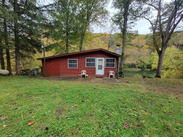 10289 Elk River Rd, Gassaway, WV 26623