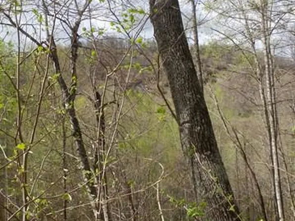 4567 4,5,6,7 Captiva Mountain Drive Cullowhee, NC 28723 Drive, Cullowhee, NC 28723