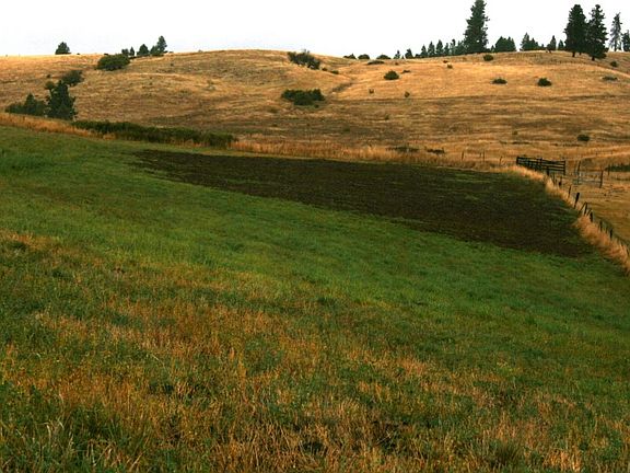 5th image of 0000 Bulldog Creek Parcel #D