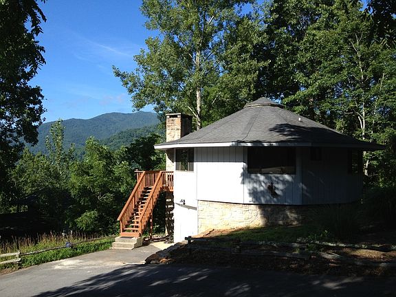 Summer time tree shade