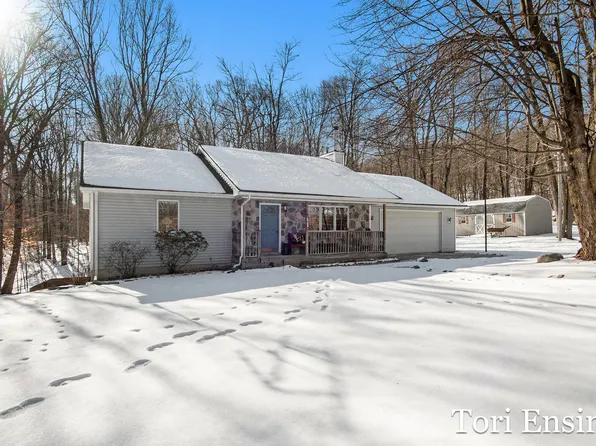 981 W Klees Rd, Stanton, MI 48888