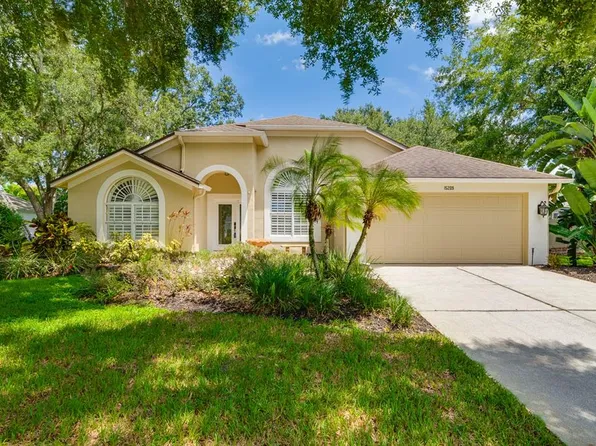 15209 Arbor Hollow Dr, Odessa, FL 33556