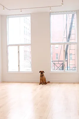 Rented by Level Group | media 38