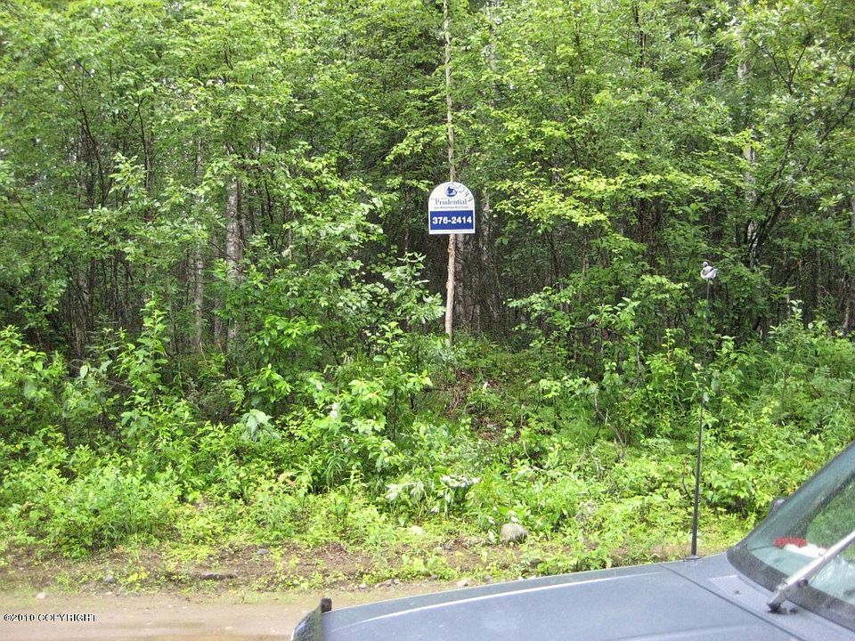 2nd image of 49468 S Dolly Varden Dr