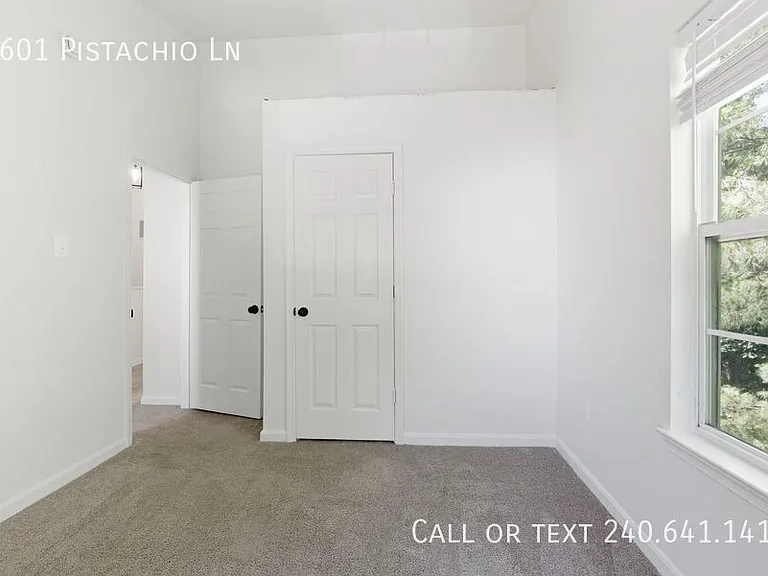 4601 Pistachio Ln — Photo 13