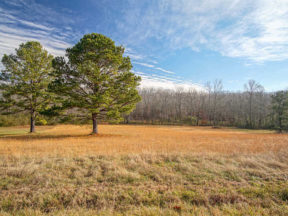 2nd image of 11 Cotton Ln