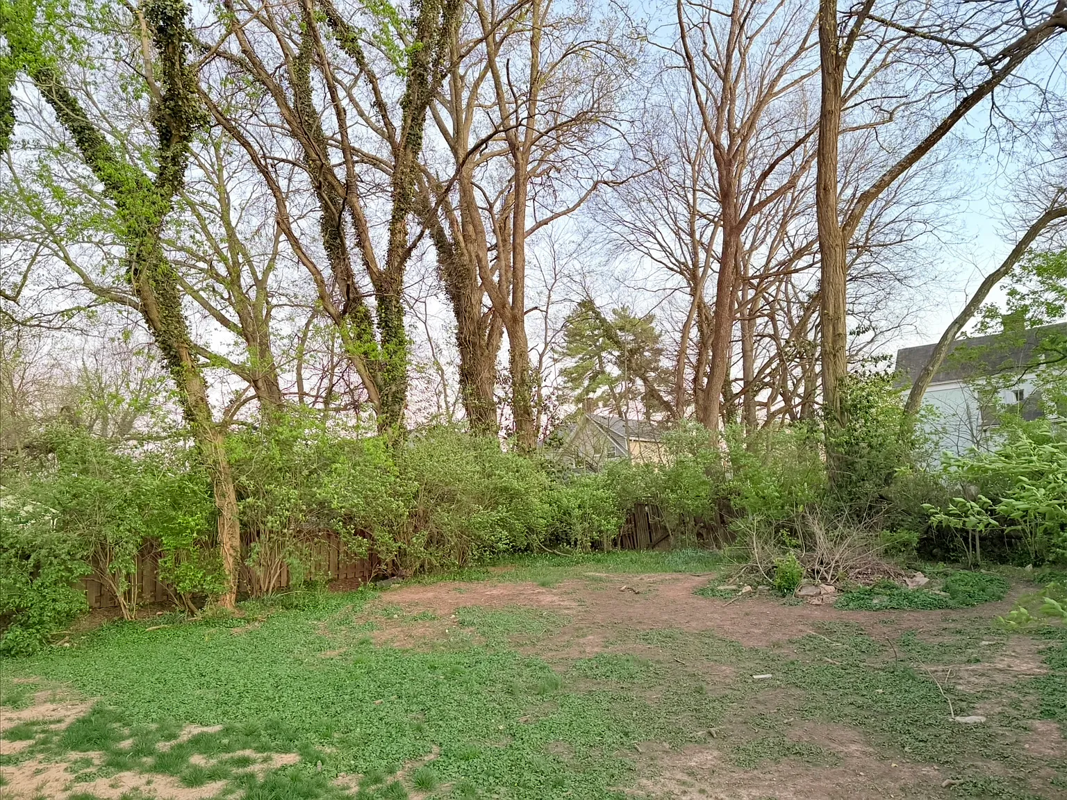 2 bed, 1000 sqft, $1,195 — Photo 2