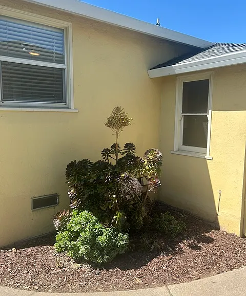 2844 Ione St — Photo 22