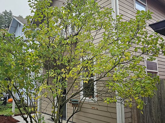 2nd image of 53 Lawrence St
