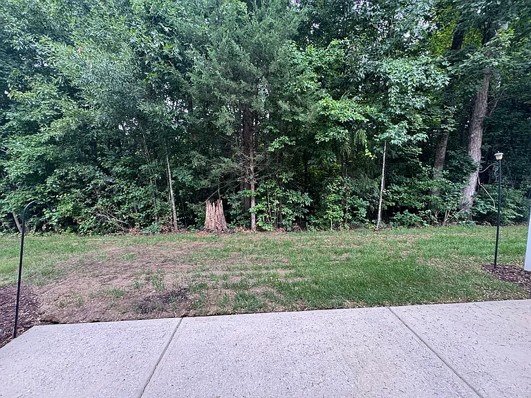 16205 Annahill Ct — Photo 18