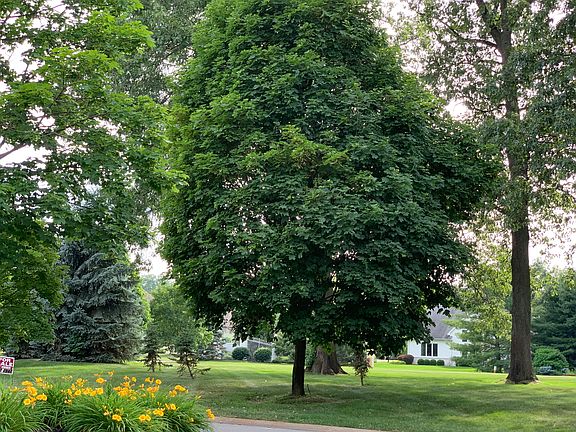 View from curb