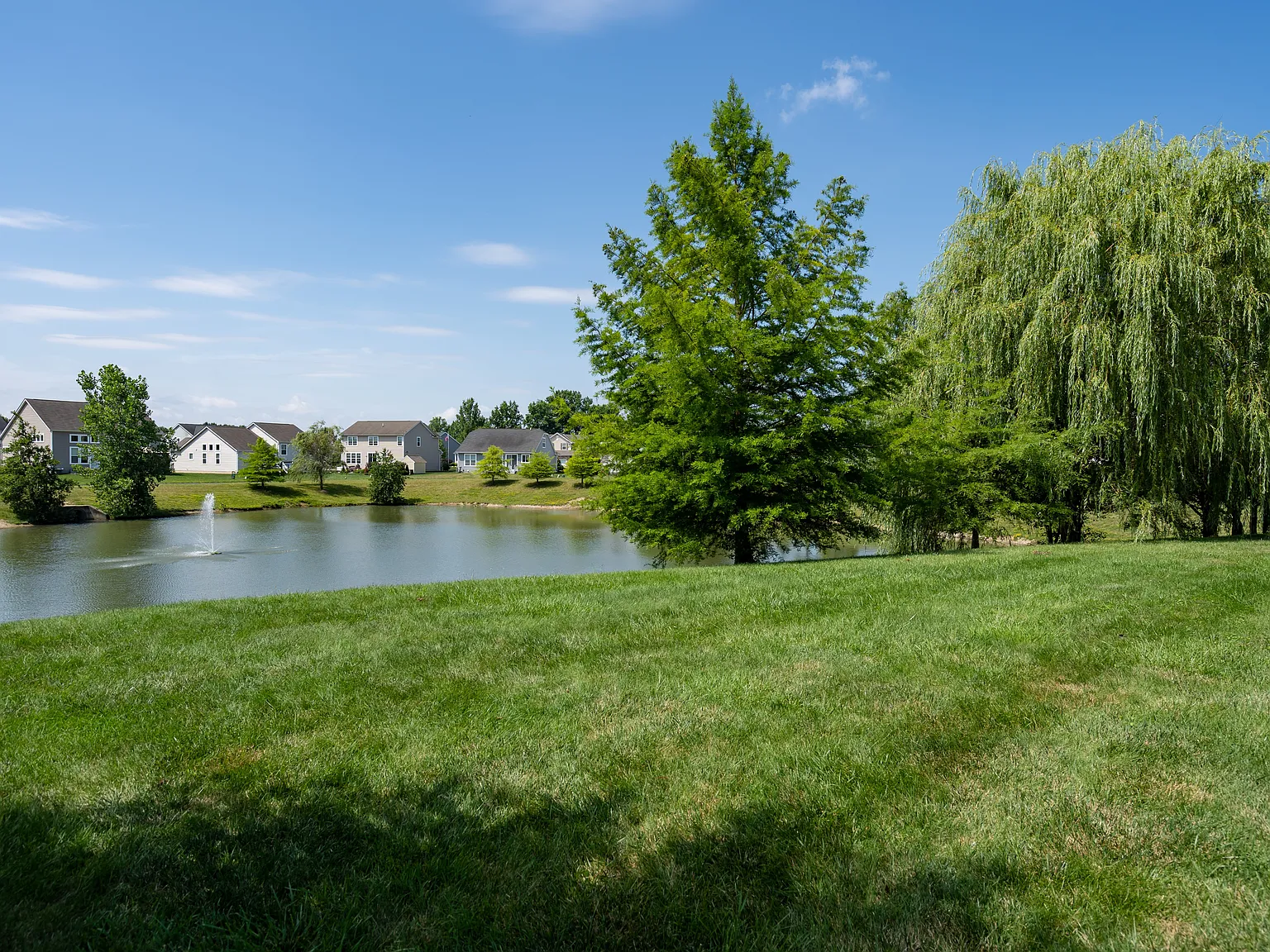 Carson Farms — Photo 1