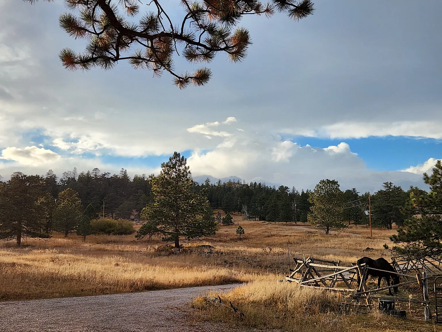 2 bed, 1971 sqft, $2,600 — Photo 4