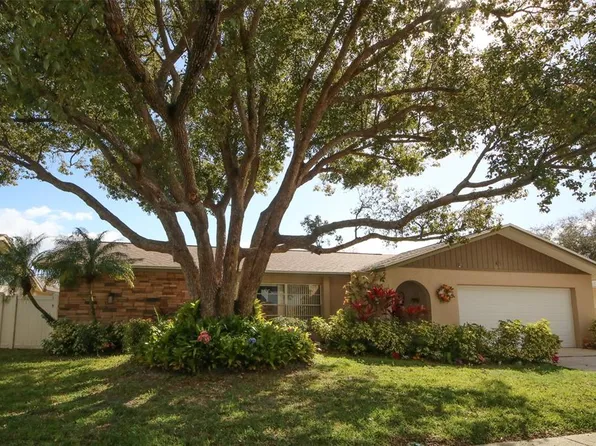 45 Turnstone Dr, Safety Harbor, FL 34695