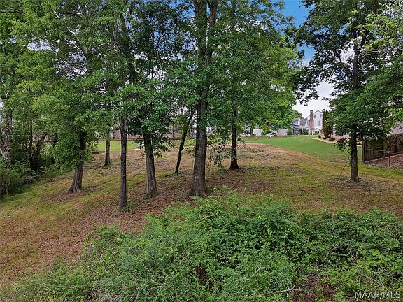 5th image of 1611 Dominick Rd
