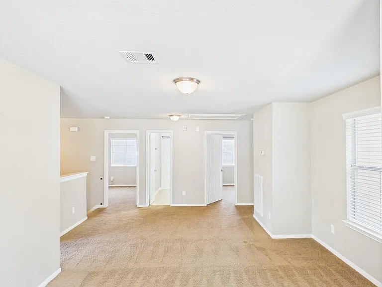 17143 Deaton Mill Dr — Photo 18