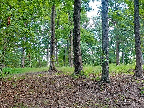 2nd image of 7659 Burks Rd