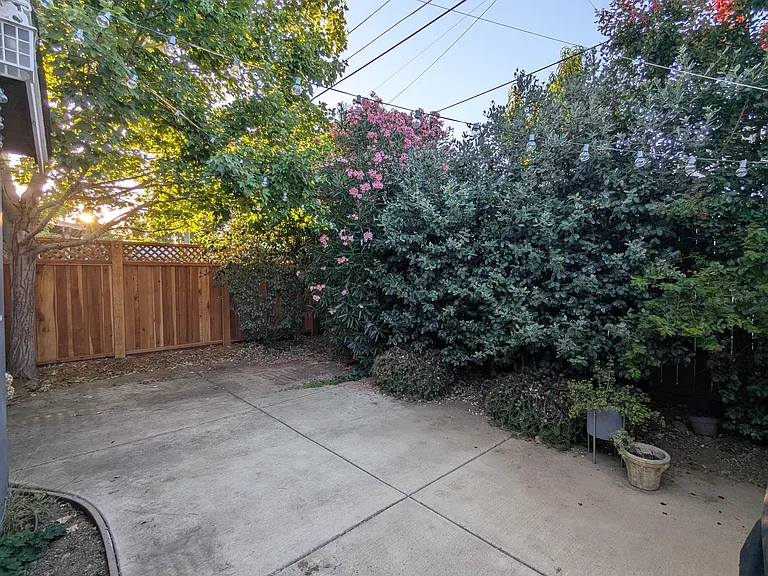 3119 Carly Way — Photo 14
