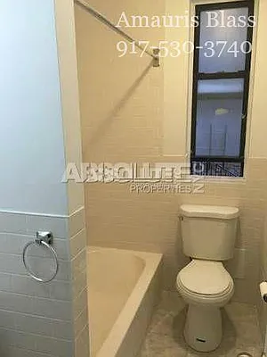 Rented by Absolute Properties of NYC | media 12