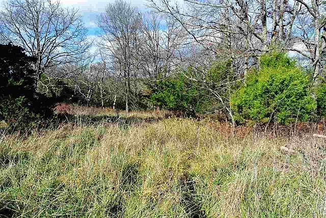 2nd image of 306 County Road 752