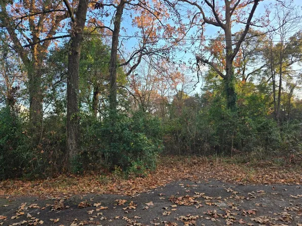 TBD COR.RICKEN-BAKER ST &HWY 125, Jackson, SC 29831