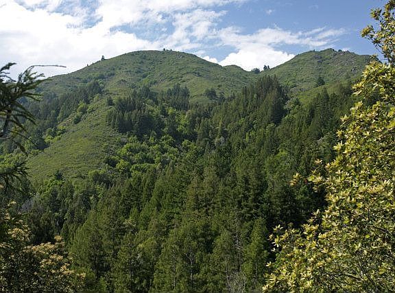 Dramatic Mt Tam ridgeline view