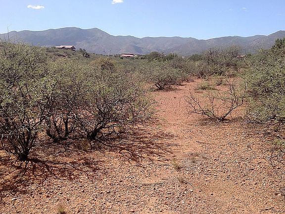 Bottom looking at Mingus Mtn