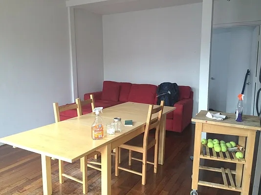 Rented by Brooklyn IQ Properties Inc | media 19