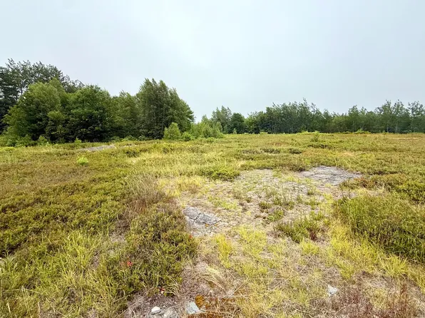 Lot 12A US-1, Gouldsboro, ME 04607
