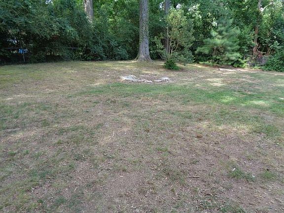 back yard