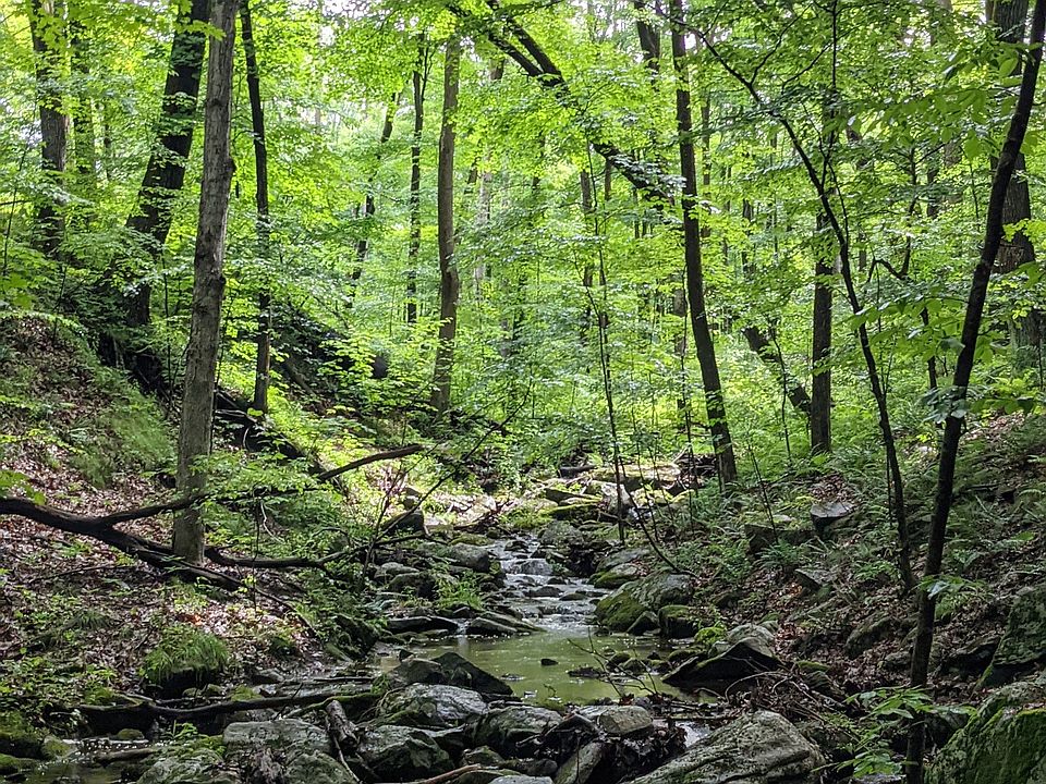 2nd image of 17 Old Homestead Lane