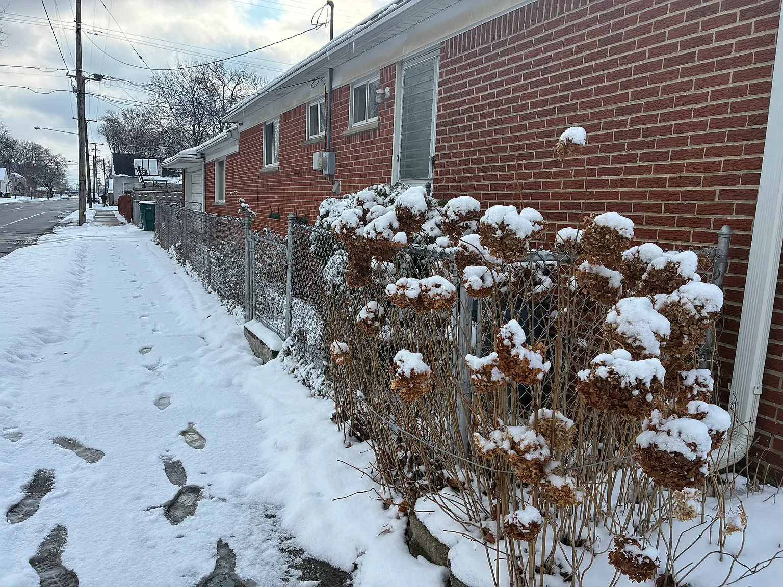 4 bed, 880 sqft, $1,500 — Photo 1