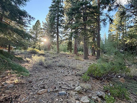 5th image of 11853 Saddleback Dr