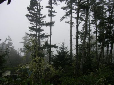 V/l Sea Bass Ln, Oceanside, OR, 97134